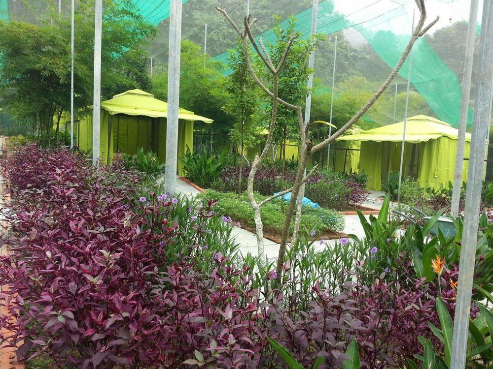 T Star Cottage Langkawi Pantai Cenang  Extérieur photo