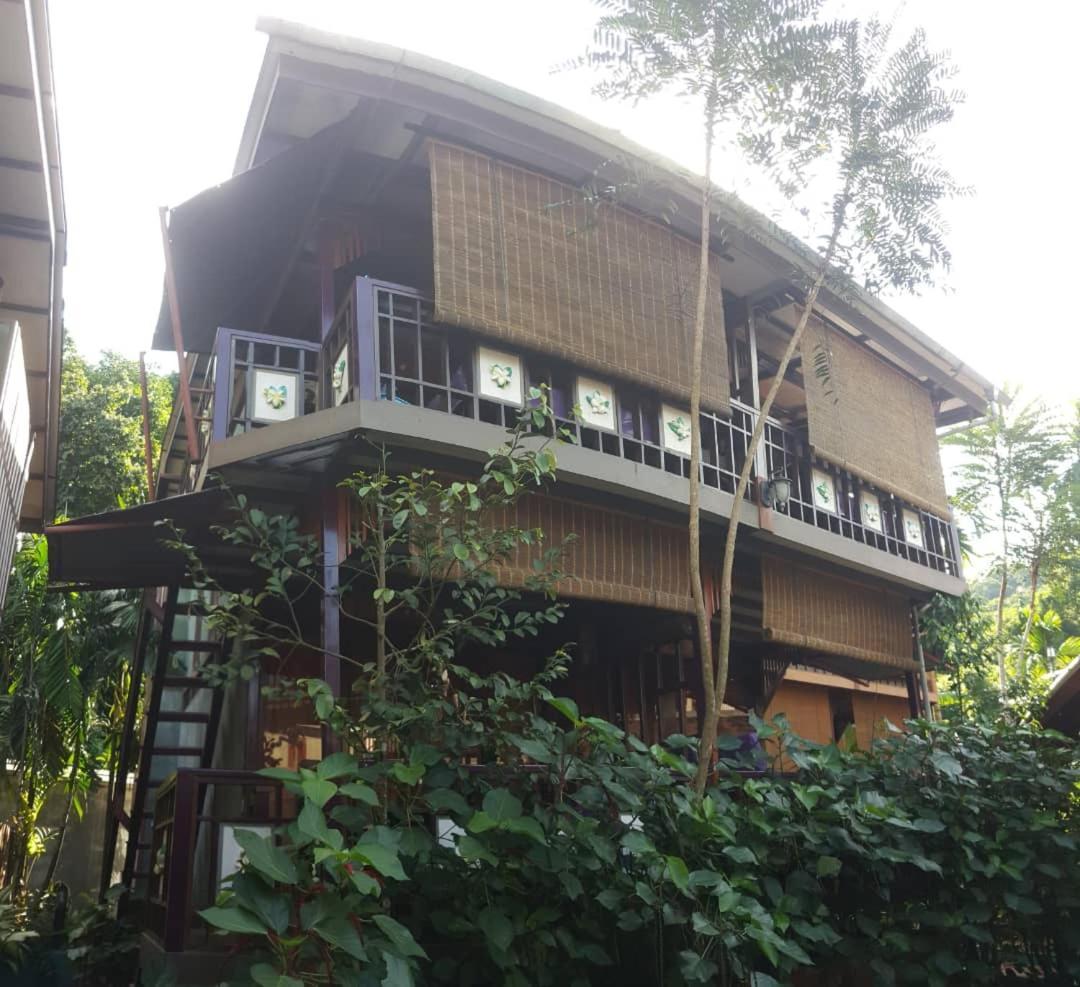 T Star Cottage Langkawi Pantai Cenang  Extérieur photo